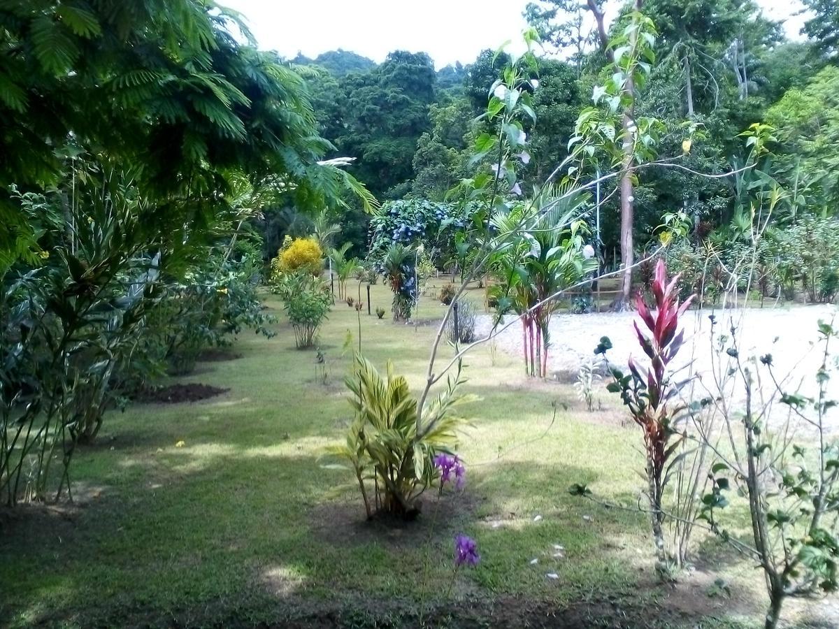 Puerto Vargas Lodge Cahuita Kültér fotó