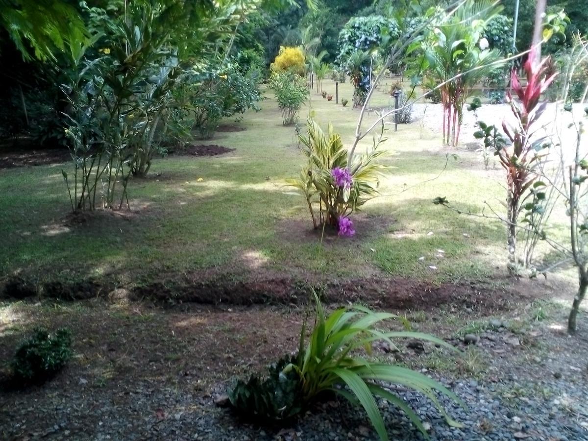 Puerto Vargas Lodge Cahuita Kültér fotó